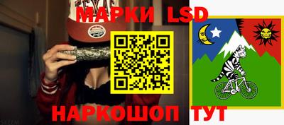 гашик Краснознаменск