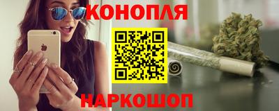гашик Краснознаменск