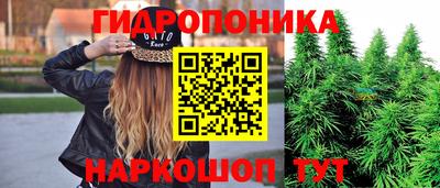 гидра Краснокаменск