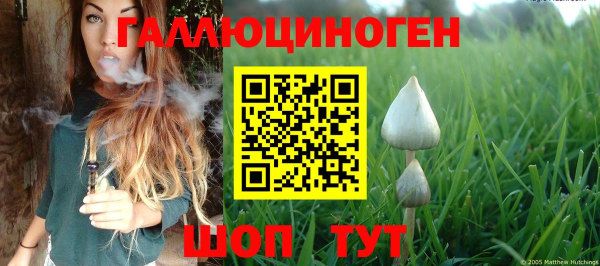 Тихвин  Галлюциногенные грибы ЛСД  Вход с VPN 