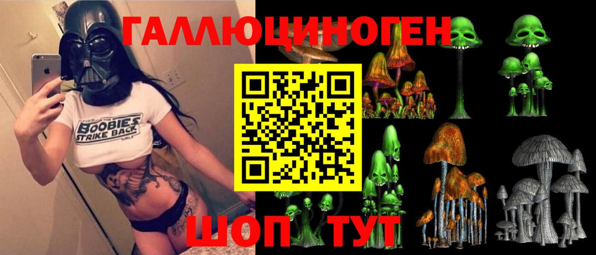 Галлюциногенные грибы Psilocybe Тихвин